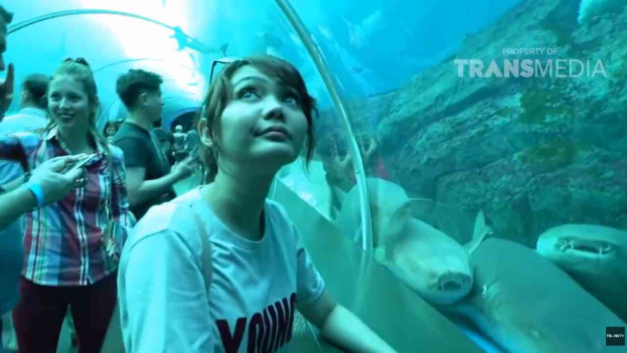 
					Keliling SEA Aquarium Singapore Mengagumkan Sekali Panoramanya
					