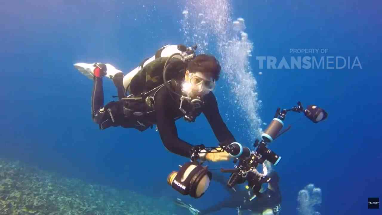 
					Destinasi Bawah Laut Sulawesi di Ampibabo, Lebih dari Sekadar Diving
					