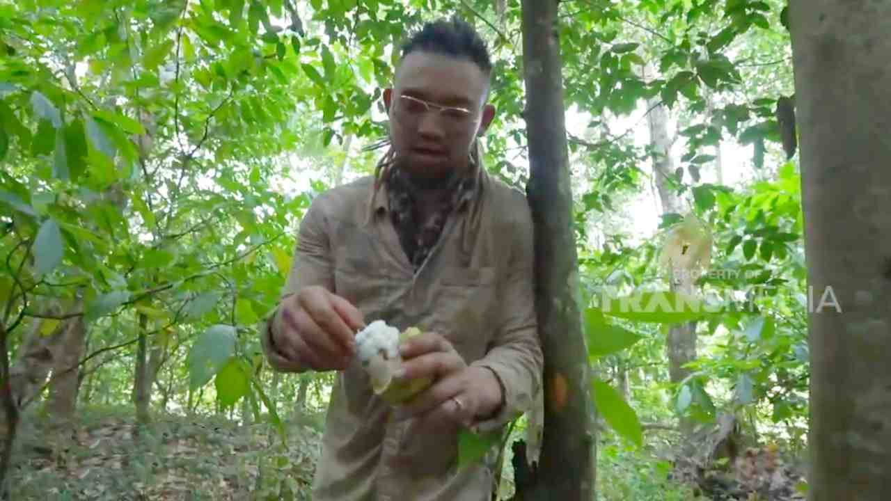 
					Biji Kakao Memangnya Bisa Dimakan Langung dari Pohonnya, ya?
					