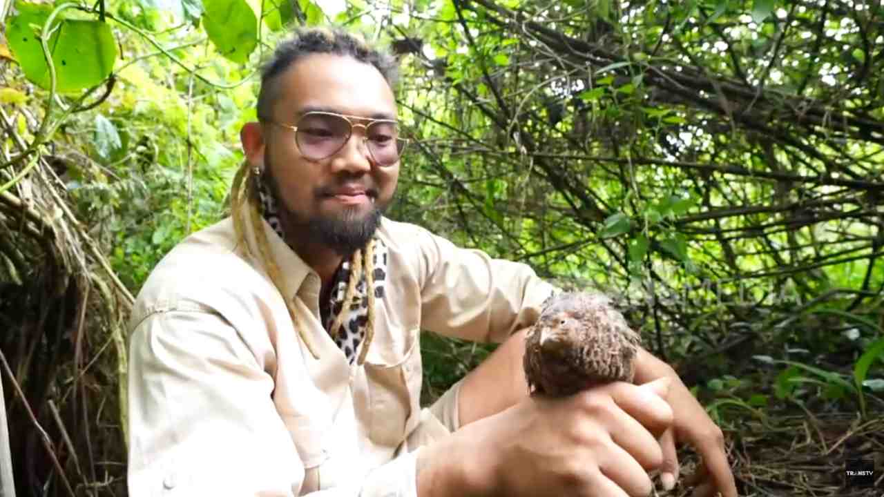 
					Mau Lihat Wujud Asli Burung Puyuh? Jelajahi Hutan Kamojang, Majalaya
					