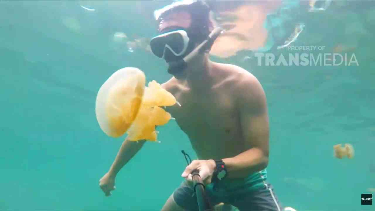 
					Keajaiban Danau Kakaban, Laboratorium Alami di Kalimantan Timur 
					