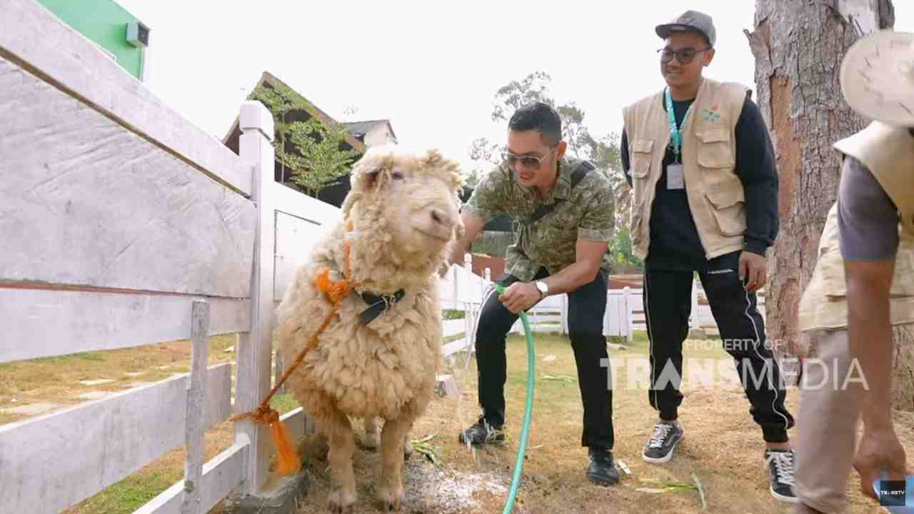 Tempat Wisata Hits yang Wajib Dikunjungi : 
					Eduwisata Alam Farm Day, Lampung, Sajikan Aktivitas Interaktif Berkesan
					