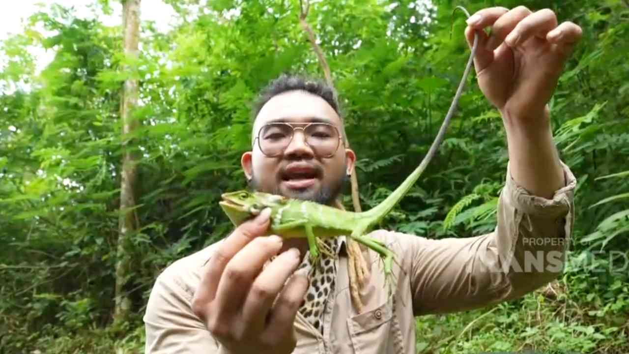 Inspirasi Perjalanan Wisata Menarik : 
					Petualangan di Balik Warna-warni Kadal Bunglon Si Penyamar Ulung
					
