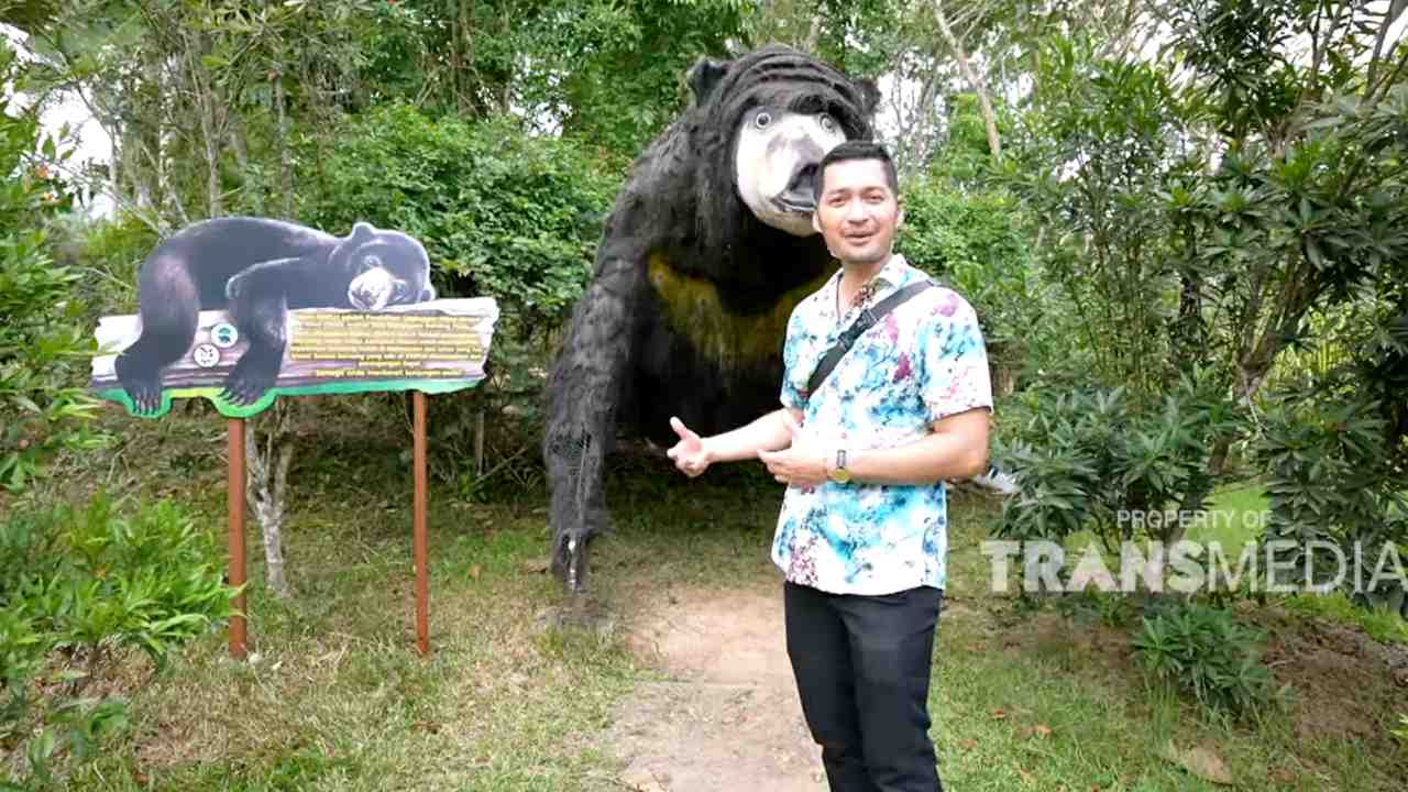 
					Mengintip Wisata Edukasi Pusat Konservasi Beruang Madu Balikpapan
					