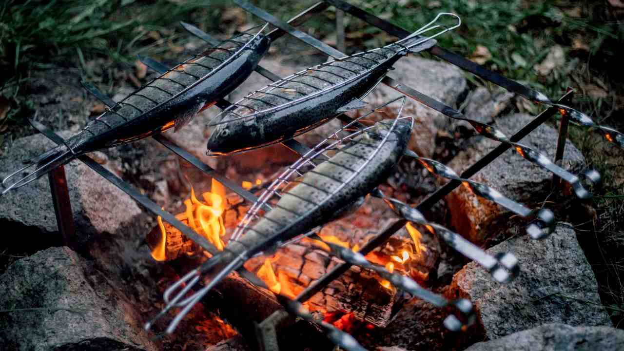 Memasak Ikan Bakar di Saat Camping Menambah Hangat Suasana