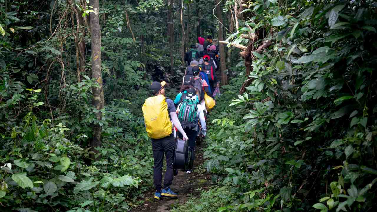 Tempat Wisata Hits yang Wajib Dikunjungi : 
					Memilih Open Trip Terpercaya, Wujudkan Liburan yang Didamba
					