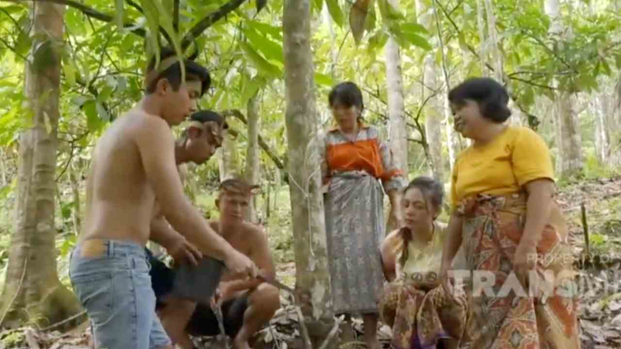 
					Mogai Gito, Mata Pencaharian Suku Nias di Desa Bawomataluo
					