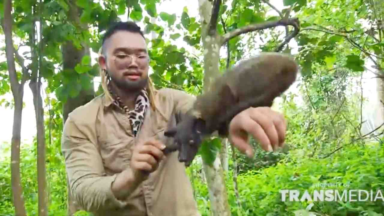 
					Menelisik Kehidupan Musang Akar di Pedalaman Hutan Sumatera Utara
					