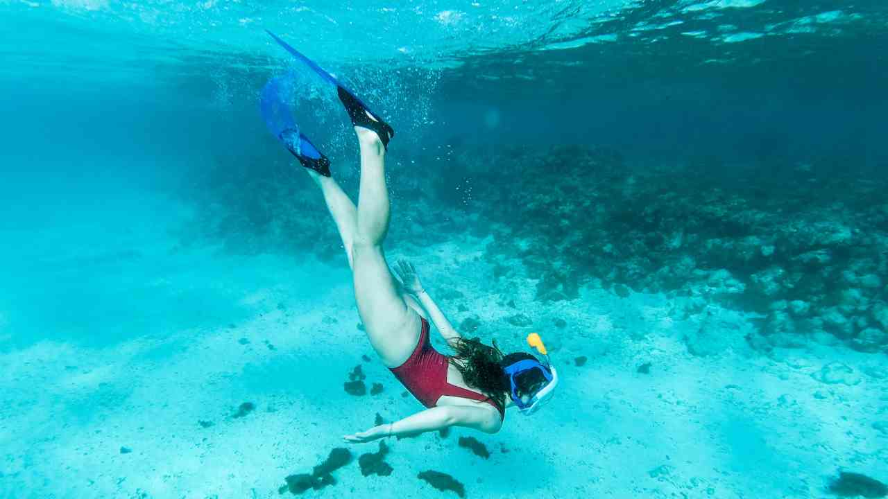 Simak! Ini Persiapan Sebelum Snorkeling yang Perlu Diketahui 