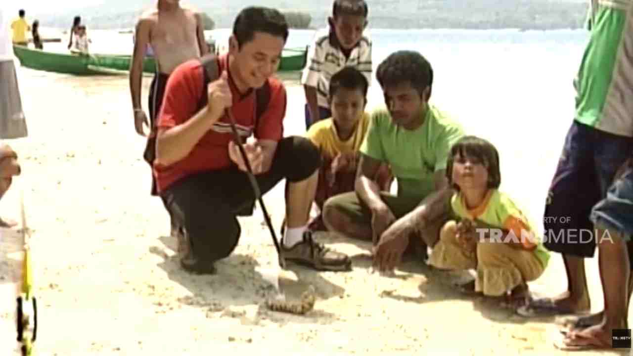 
					Wisata Bahari di Pulau Pombo, Maluku Tengah, Jauh dari Hiruk Pikuk Kota 
					