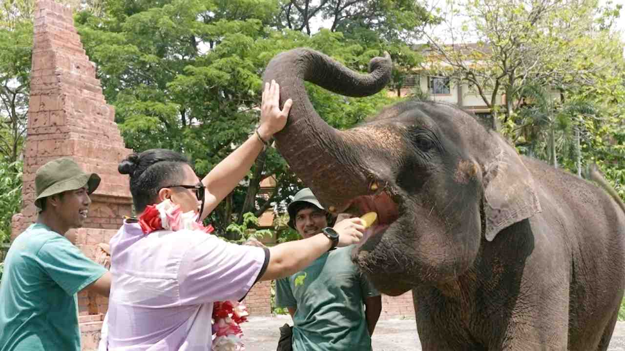 
					Solo Safari Tanpa Sekat Jeruji, Bercengkrama dengan Berbagai Macam Hewan
					