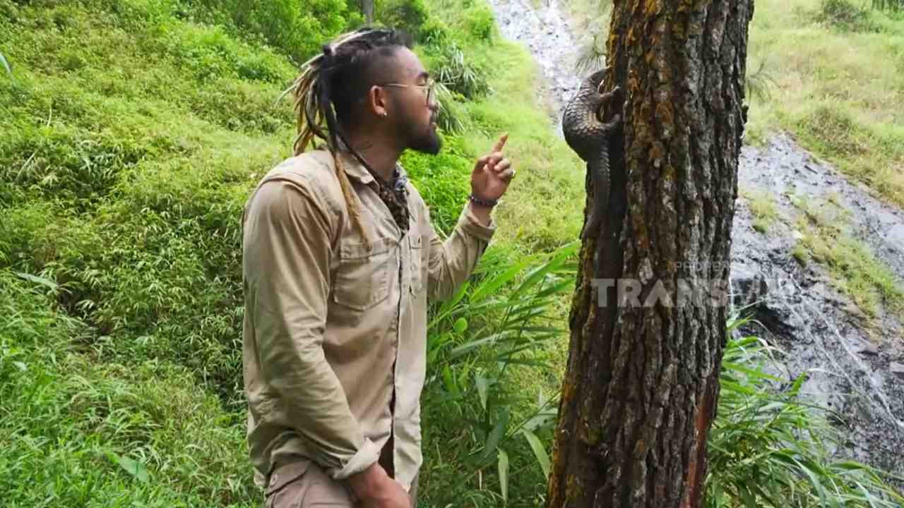
					Trenggiling dan Perannya bagi Ekosistem Hutan yang Semakin Terancam
					