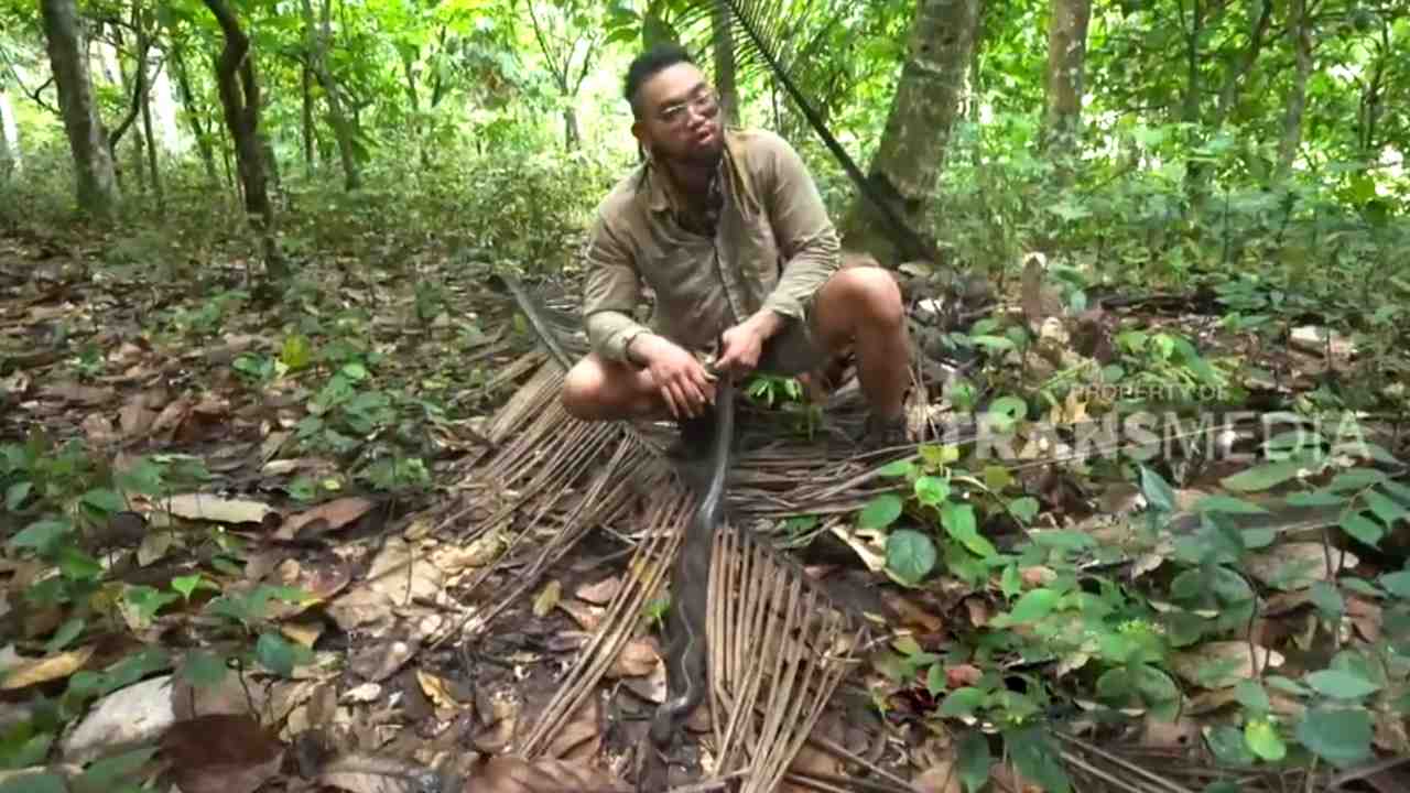 Rekomendasi Liburan Seru : 
					Ular Sanca Darah yang Ada di Sumatera ini Pemalu dan Tak Berbisa
					